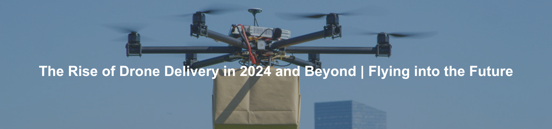 The Rise of Drone Delivery in 2024 and Beyond - Flying into the Future
