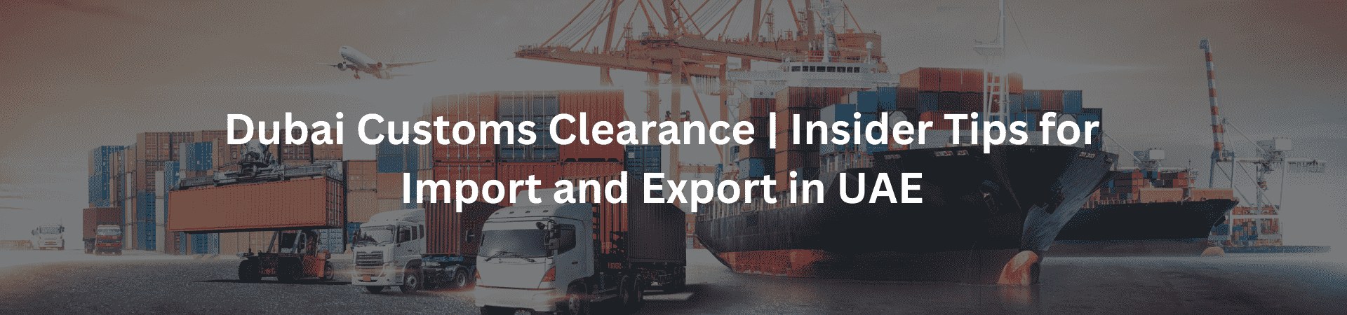 Dubai Customs Clearance Insider Tips for Import and Export in UAE - Riseonic Shiping Line