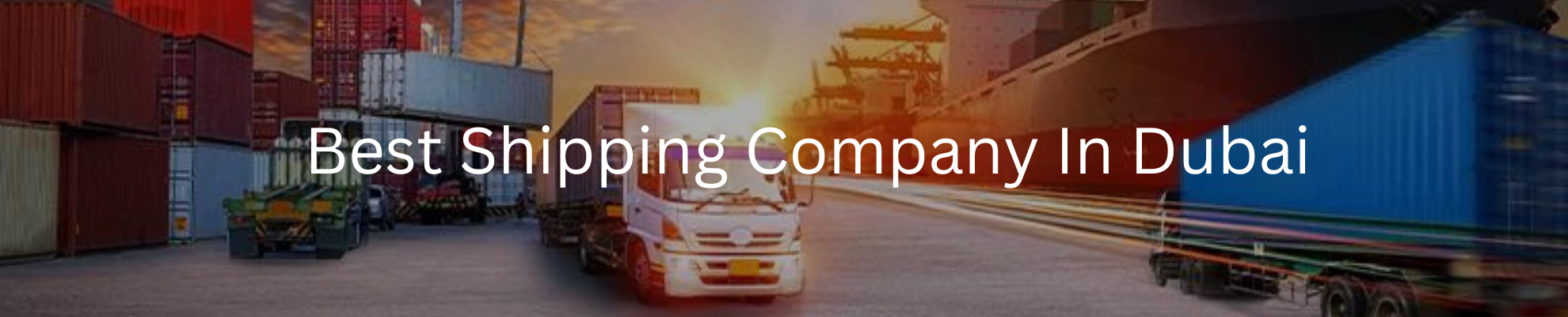 Best Shipping Company In Dubai | Riseonic Shipping Lines