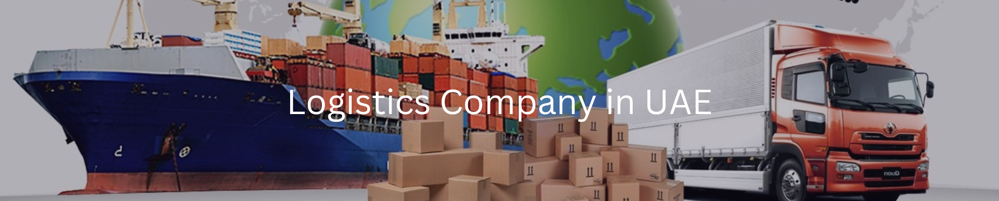Logistics Company in UAE | Riseonic Shipping Lines